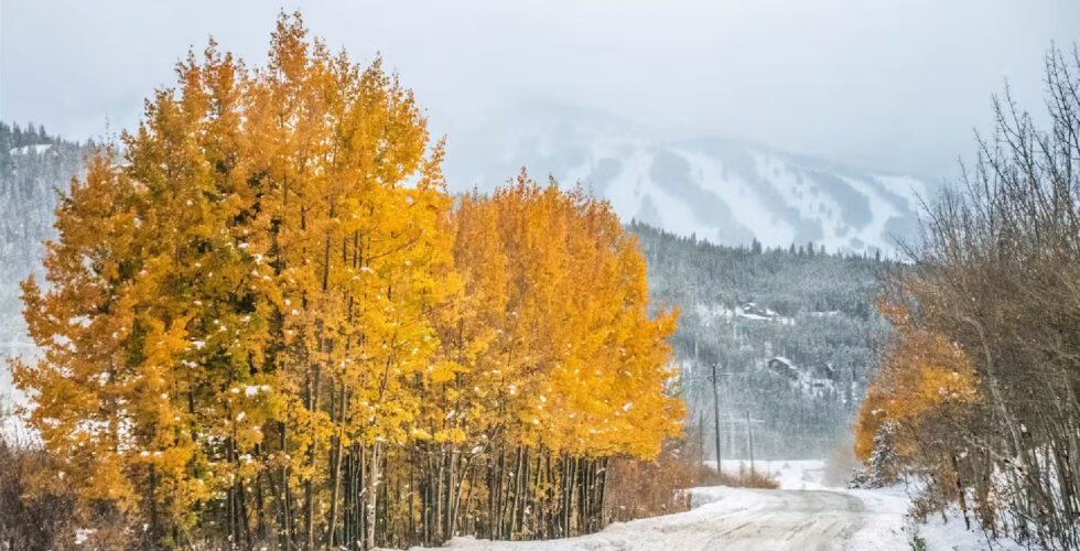 Invierno en Airbnb: Los viajeros latinos redefinen la temporada de esquí