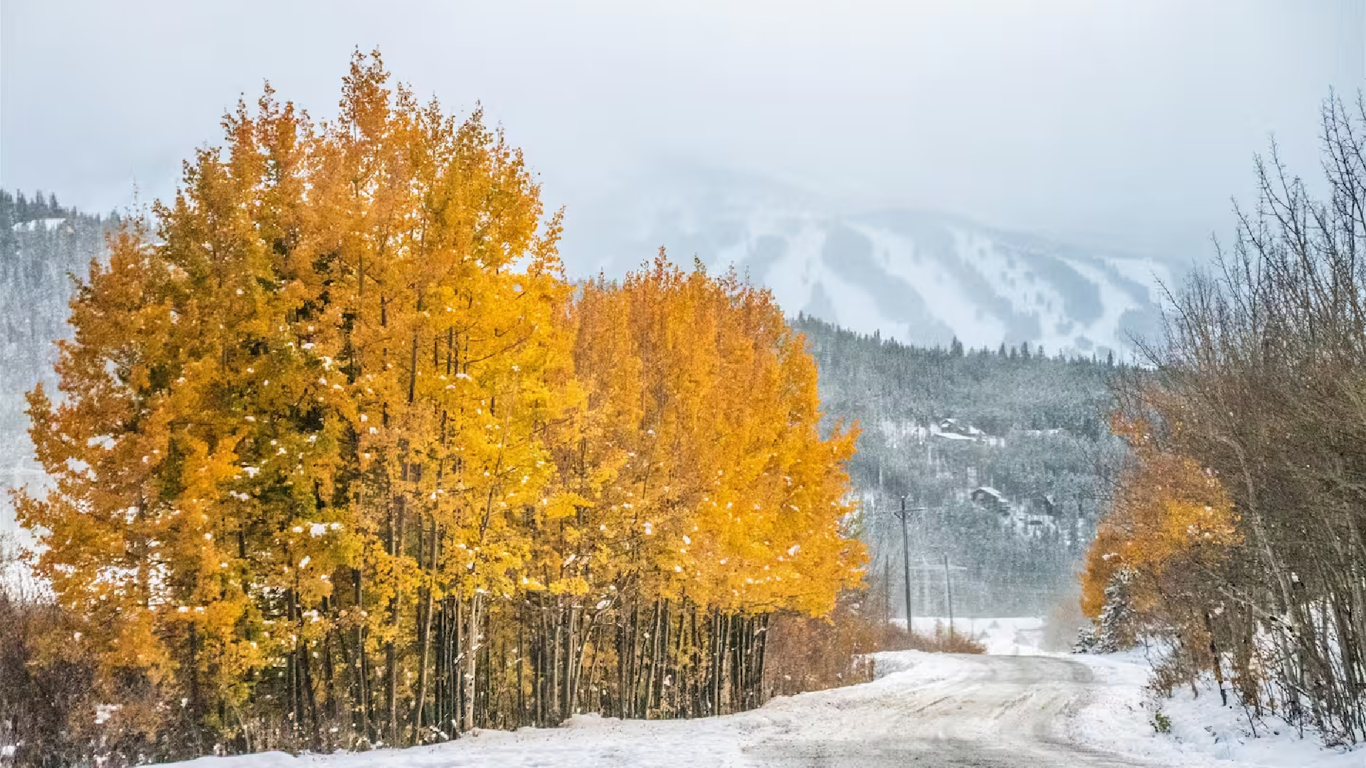 Invierno en Airbnb: Los viajeros latinos redefinen la temporada de esquí